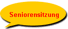 Seniorensitzung